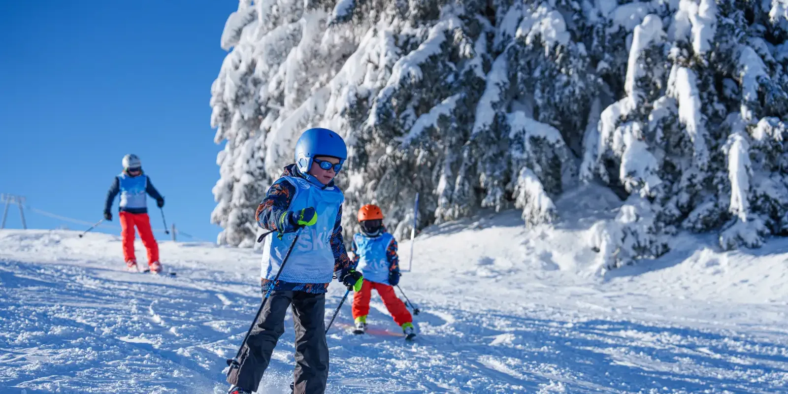 Image pour Les Progrès en ski des enfant sont-ils plus rapide avec un moniteur ?